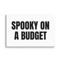 SPOOKY ON A BUDGET canvas print