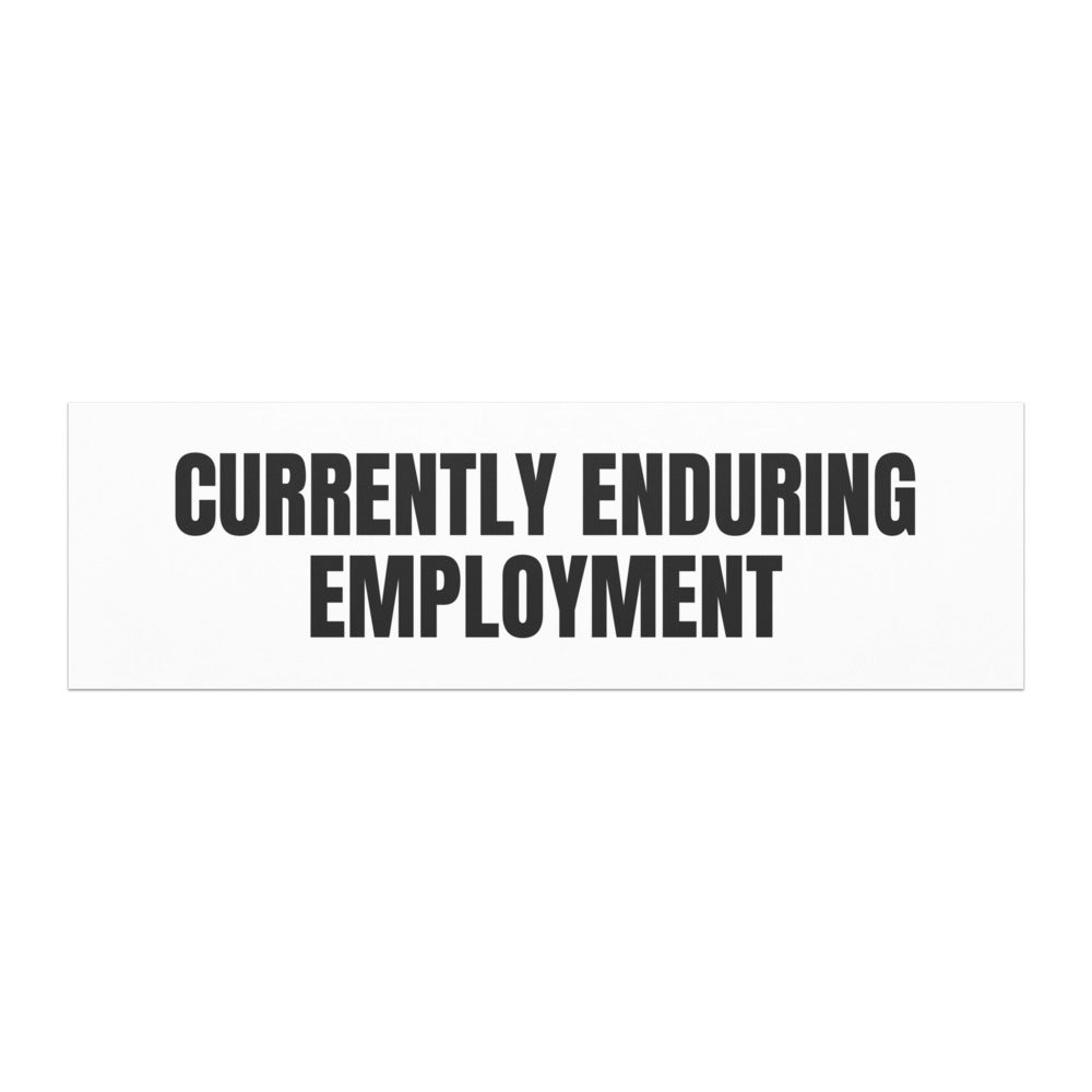 CURRENTLY ENDURING EMPLOYMENT car magnet