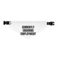 CURRENTLY ENDURING EMPLOYMENT pet bandana