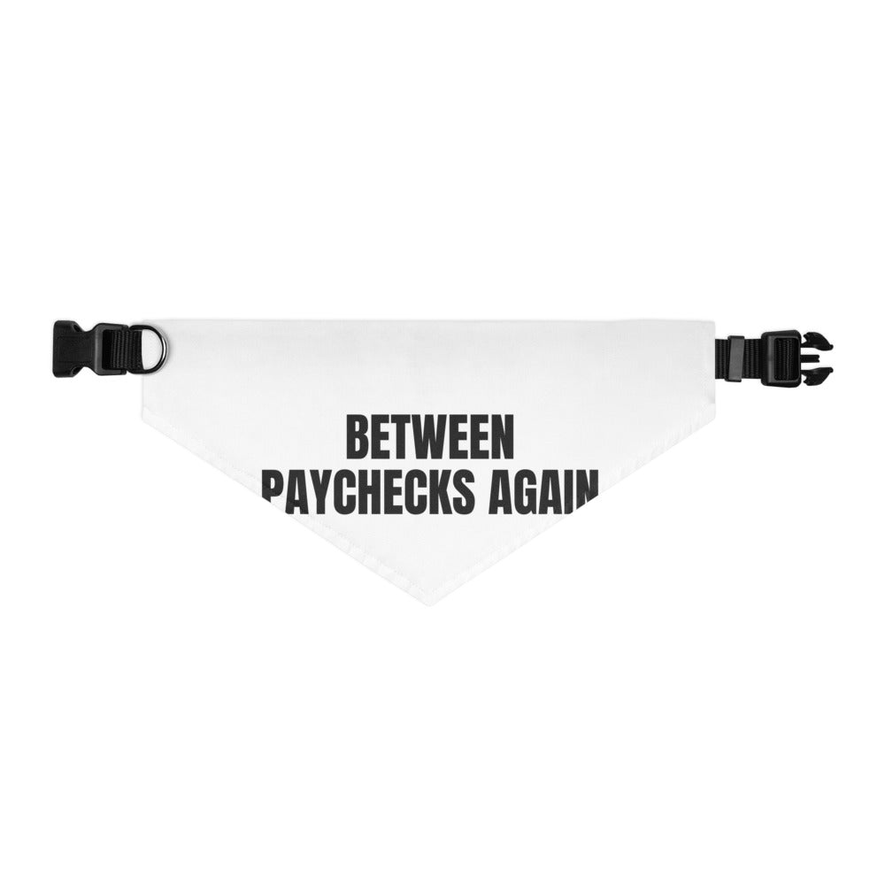 BETWEEN PAYCHECKS AGAIN pet bandana