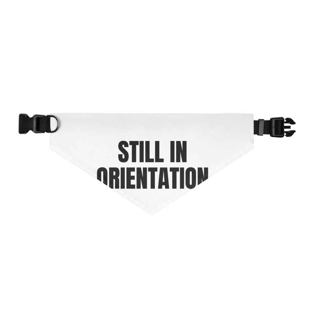 STILL IN ORIENTATION pet bandana