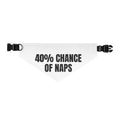 40% CHANCE OF NAPS pet bandana