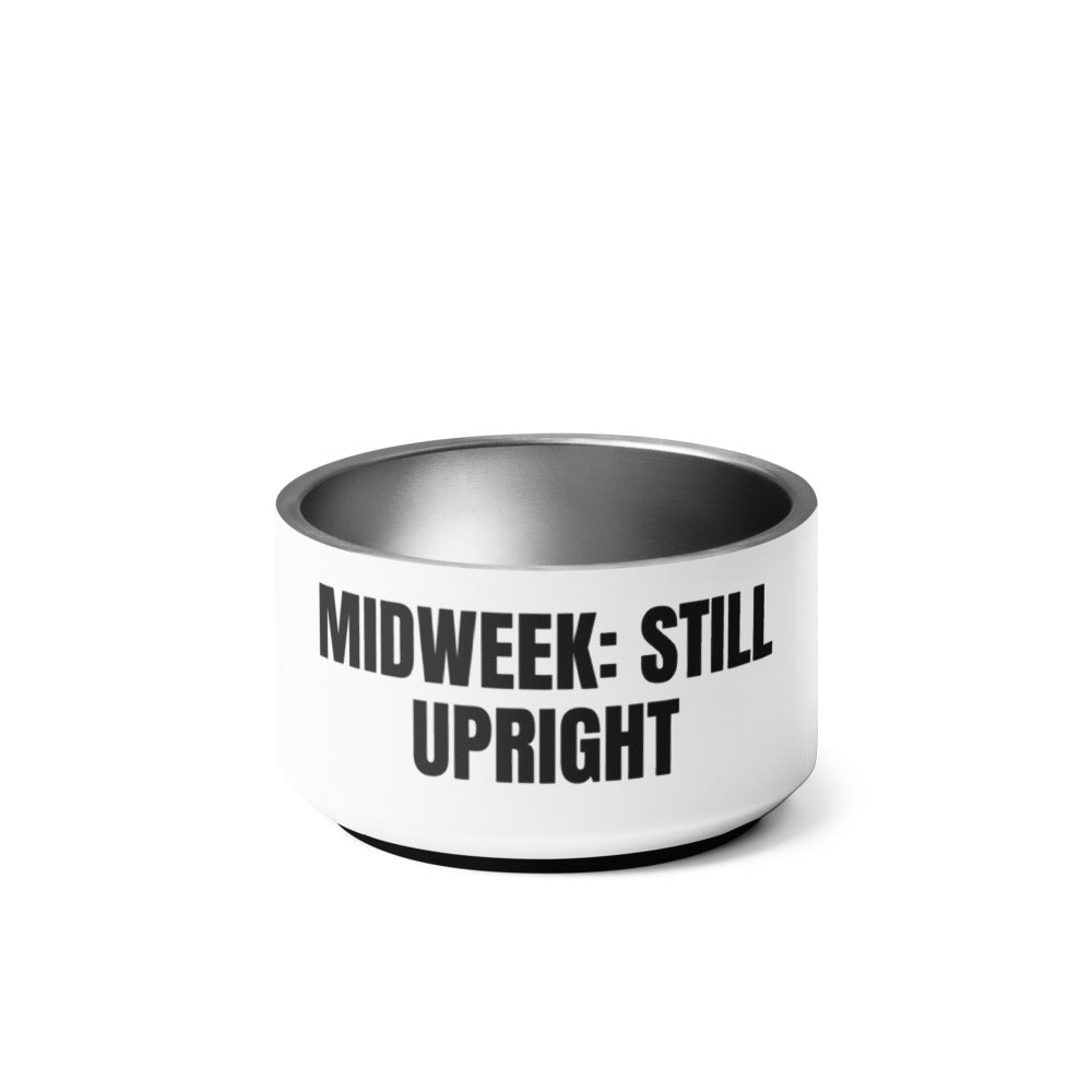 MIDWEEK: STILL UPRIGHT pet bowl
