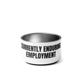 CURRENTLY ENDURING EMPLOYMENT pet bowl