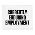 CURRENTLY ENDURING EMPLOYMENT throw blanket