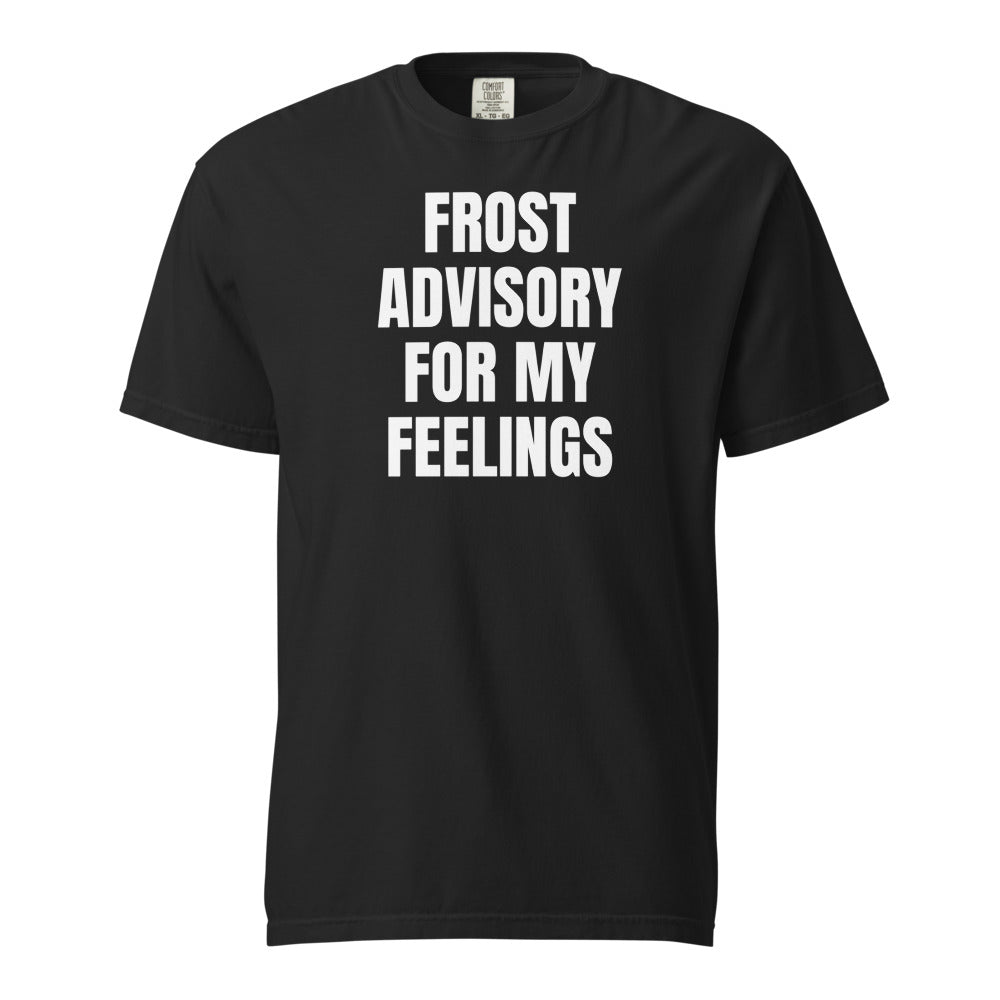 FROST ADVISORY FOR MY FEELINGS garment-dyed tee, black