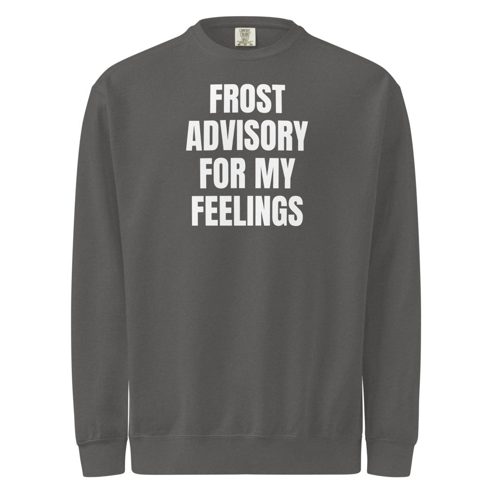 FROST ADVISORY FOR MY FEELINGS garment-dyed sweatshirt, pepper