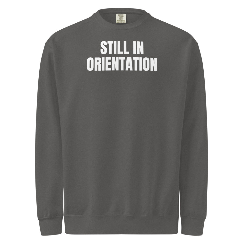 STILL IN ORIENTATION garment-dyed sweatshirt, pepper